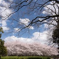 201404051431-DSC08329R.jpg