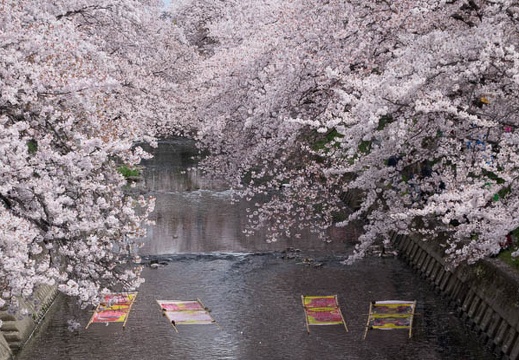 201404061015-DSC08496R.jpg
