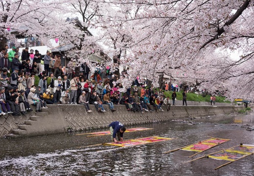 201404061034-DSC08565R.jpg
