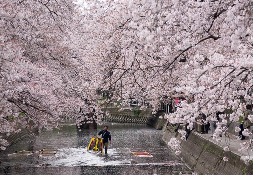 201404061056-DSC08654R.jpg