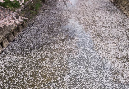 201404061115-DSC08686R.jpg