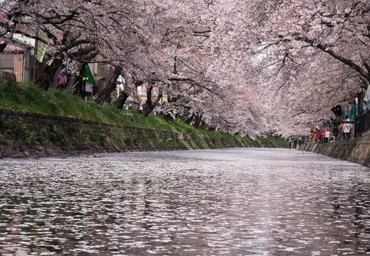 201404061122-DSC08724R.jpg