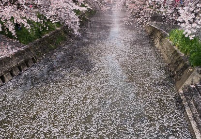 201404061125-DSC08741R.jpg