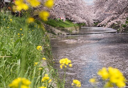 201404061150-DSC08820R.jpg