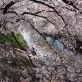 201404061206-DSC08883R.jpg