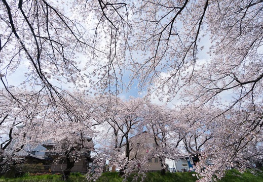 201404061246-DSC02918N.jpg