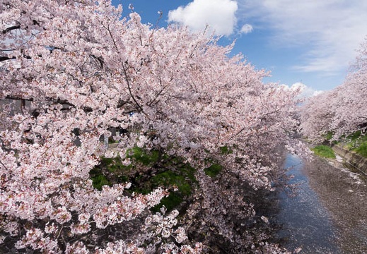201404061252-DSC09025R.jpg