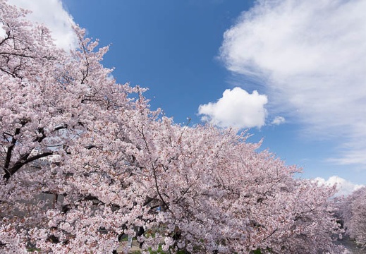 201404061252-DSC09027R.jpg
