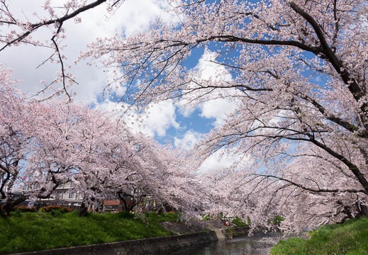 201404061256-DSC09036R.jpg