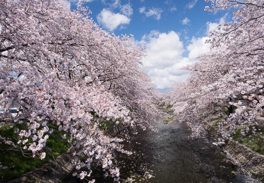 201404061313-DSC09094R.jpg