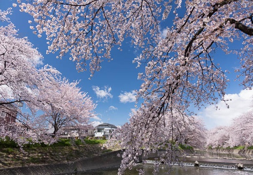 201404061328-DSC09146R.jpg