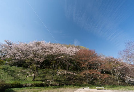 201404070848-DSC03060N.jpg