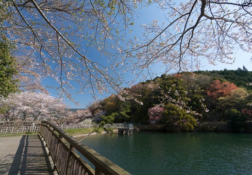 201404070854-DSC03074N.jpg