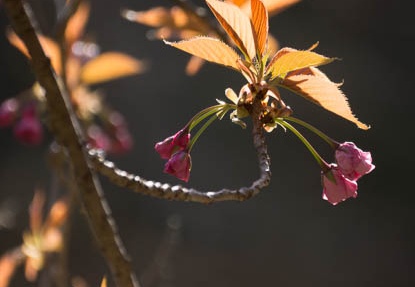 201404070900-DSC01788.jpg