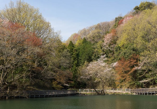 201404070922-DSC01842.jpg