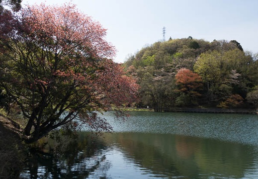201404070929-DSC01859.jpg