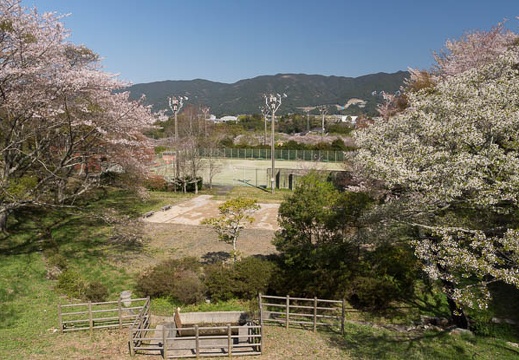 201404070929-DSC01860.jpg