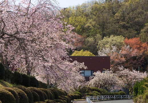 201404070948-DSC01906.jpg