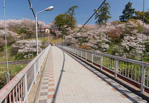 201404071001-DSC01923.jpg