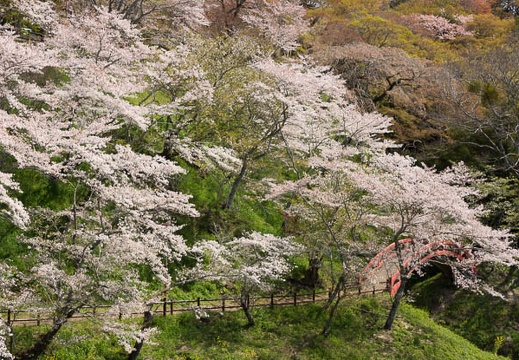 201404071003-DSC01934.jpg