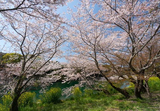 201404071027-DSC03142N.jpg