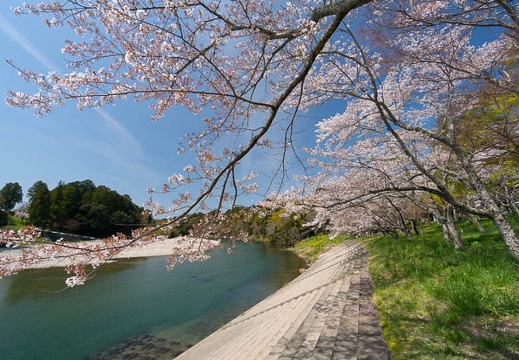 201404071035-DSC03160N.jpg