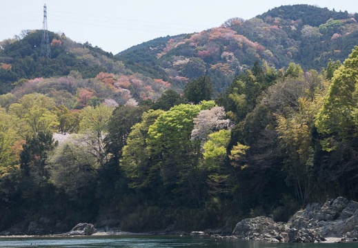 201404071037-DSC02009.jpg