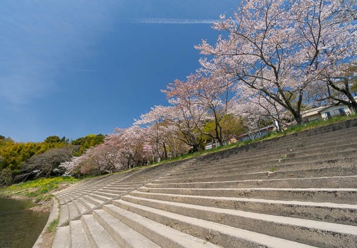 201404071037-DSC03166N.jpg