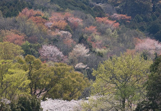 201404071044-DSC02018.jpg