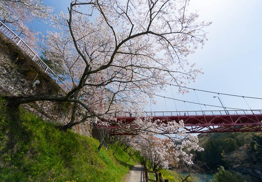 201404071114-DSC03180N.jpg