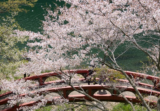 201404071215-DSC02126.jpg