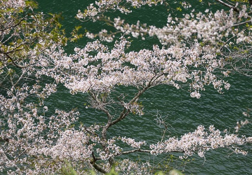 201404071217-DSC02132.jpg