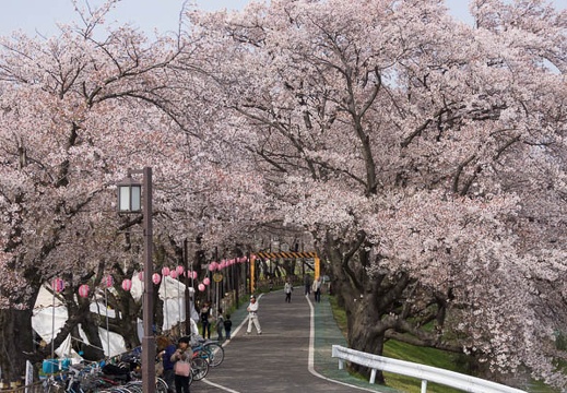 201404071445-DSC02198.jpg