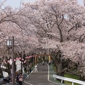 201404071445-DSC02198.jpg