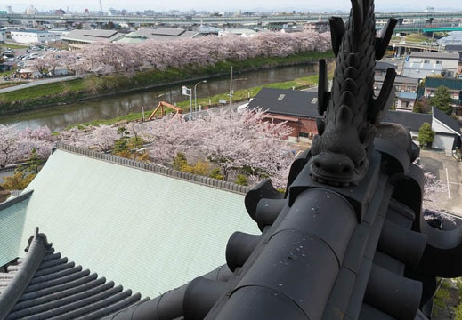 201404071457-DSC03373N.jpg