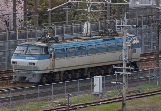 201404071512-DSC02247.jpg
