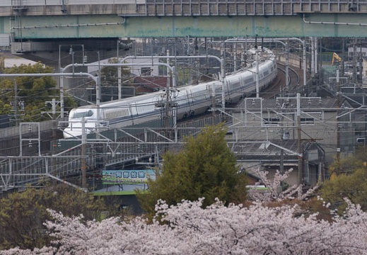 201404071514-DSC02254.jpg