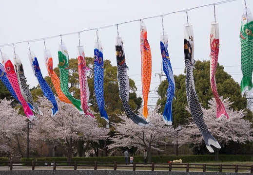 201404071537-DSC02291.jpg