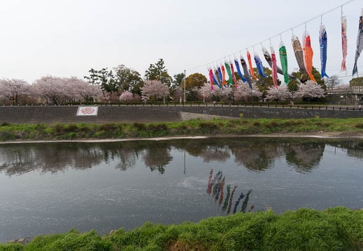 201404071537-DSC03404N.jpg
