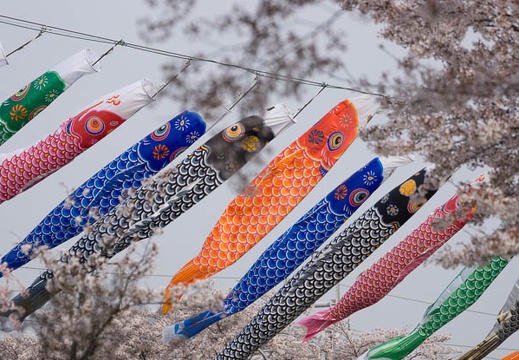 201404071551-DSC02317.jpg