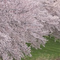 201404071604-DSC02342.jpg