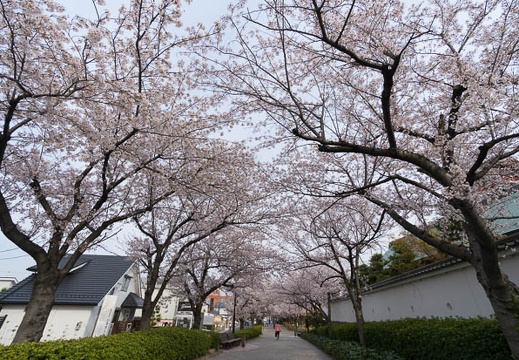 201404071606-DSC03429N.jpg