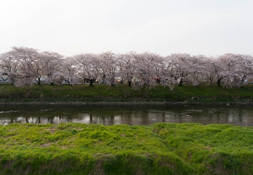 201404071608-DSC03434N.jpg