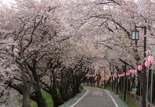 201404071615-DSC02359.jpg