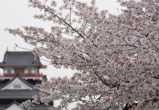 201404071615-DSC02361.jpg