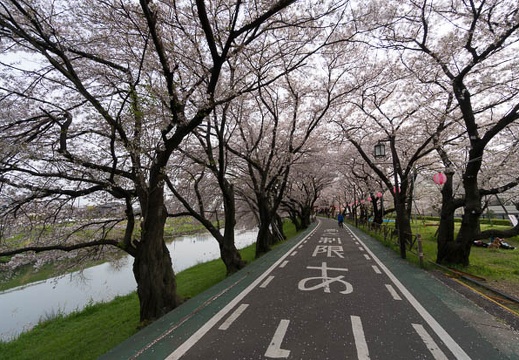 201404071618-DSC03449N.jpg