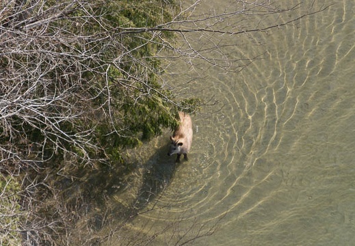 201404080758-DSC02466.jpg