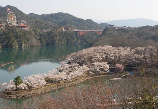 201404080821-DSC02503.jpg