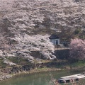 201404080824-DSC02519.jpg