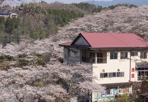 201404080848-DSC02541.jpg